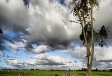 英格兰队豪取胜利，晋级脚步丝毫不减