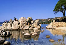 布莱顿近期成绩稳健，球队整体实力得到认可