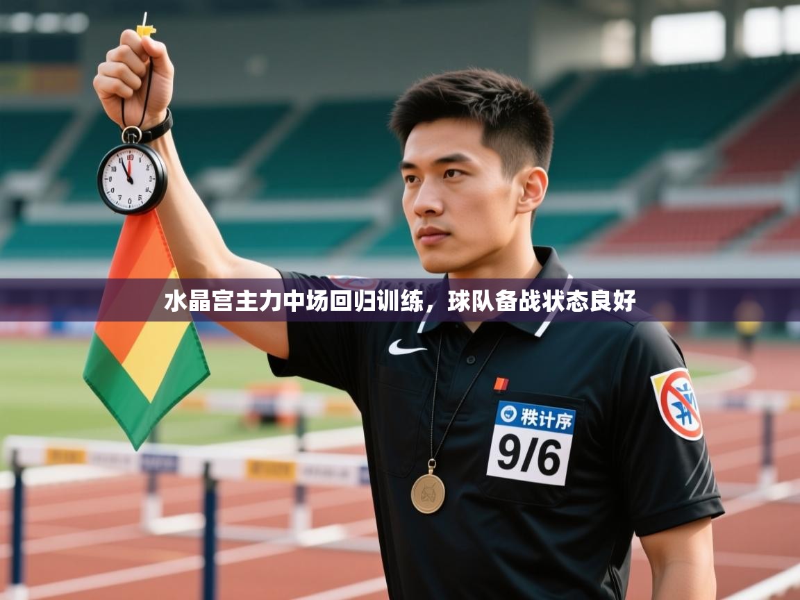 水晶宫主力中场回归训练，球队备战状态良好