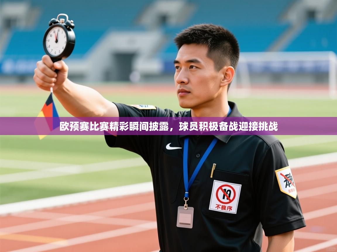 欧预赛比赛精彩瞬间披露,球员积极备战迎接挑战 第2张