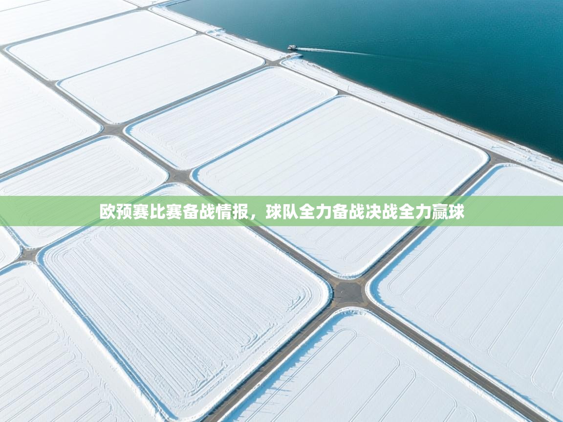 欧预赛比赛备战情报，球队全力备战决战全力赢球