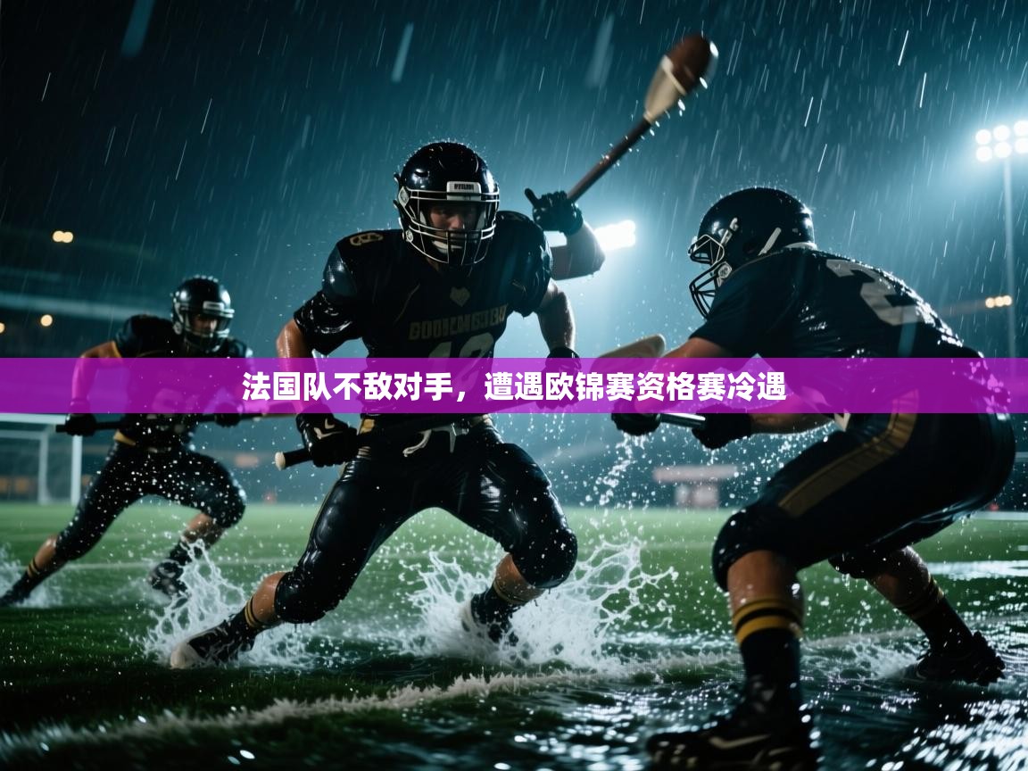 法国队不敌对手，遭遇欧锦赛资格赛冷遇  第1张
