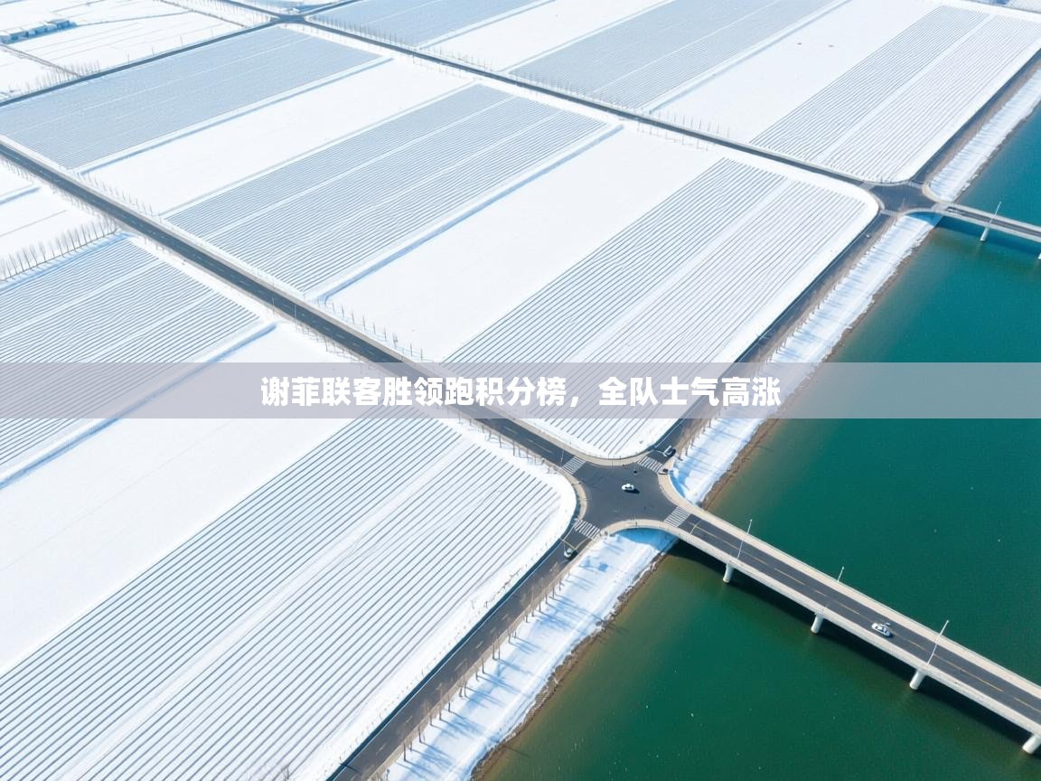 谢菲联客胜领跑积分榜，全队士气高涨  第1张