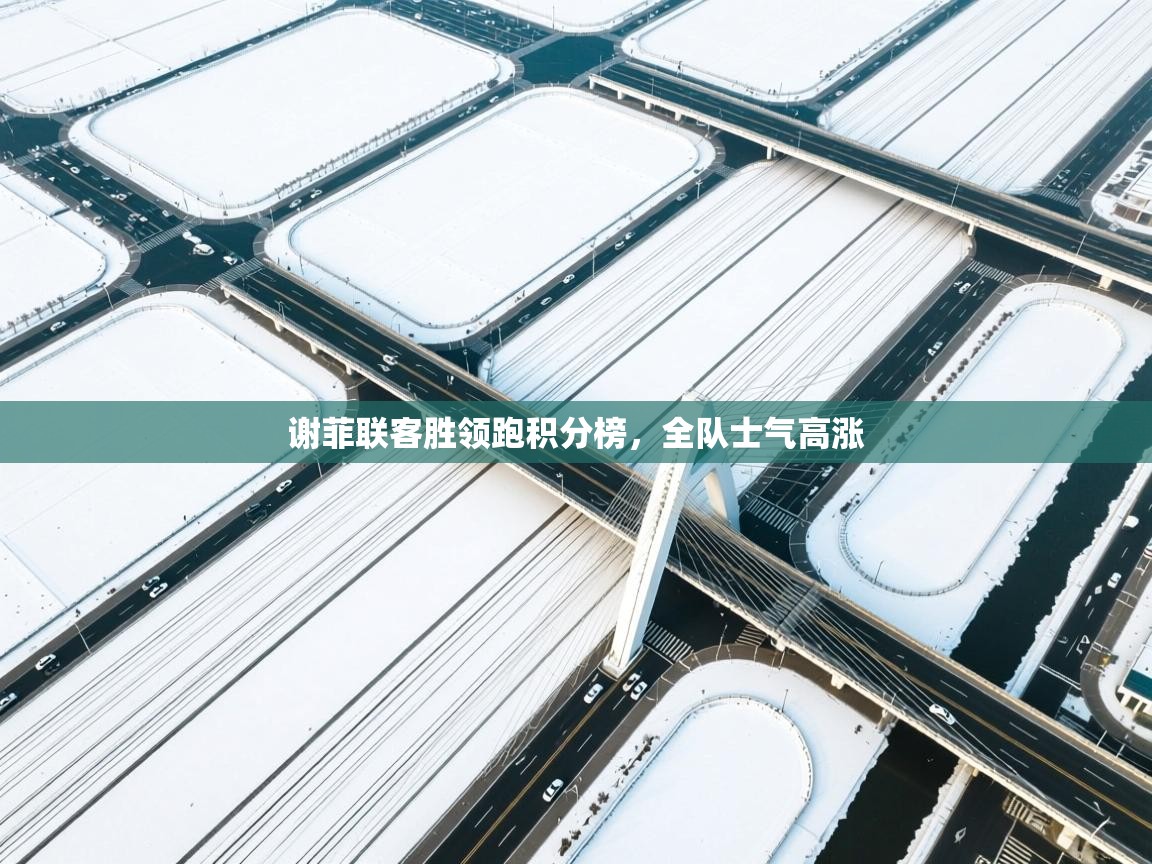 谢菲联客胜领跑积分榜，全队士气高涨  第2张